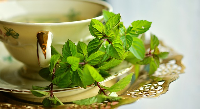 groene thee gezond